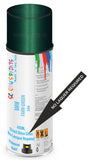 bmw 3 series farn green 386 2-pack 2k spray direct shine gloss paint Aerosol Spray Paint