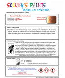 Instructions For Use Chevorlet Spark Peach Orange