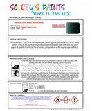 Instructions For Use Chevorlet Cheviniva Amulet/Temno Zeleny