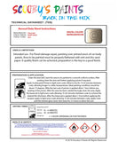 Instructions For Use Chevorlet Nubira Light Gold
