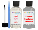 Audi Grey White Car Paint