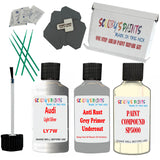 Audi Light Silver Car Detailing Paint and polish finishing kit