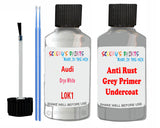 Audi Oryx White Car Paint