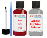 Audi Tango Red Car Paint