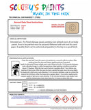 Instructions For Use Bugatti Chiron Touch Up Paint