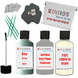 Bmw Silk Green Car Detailing Paint and polish finishing kit