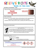 Instructions for use Chevrolet Aveo Touch Up Paint