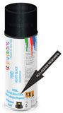 Ford agate black Direct Gloss No Lacquer Required Spray Paint