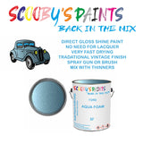 Ford Cabrio AQUA FOAM Tin Can Automotive Paint - Suitable for Spraying or Brushing - Premium Finish for Your Vehicle