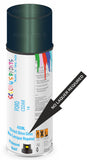 Ford cedar Direct Gloss No Lacquer Required Spray Paint
