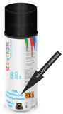 Ford disco Direct Gloss No Lacquer Required Spray Paint