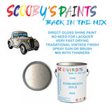 Ford MAVERICK DUNE/BEACH GOLD Tin Can Automotive Paint - Suitable for Spraying or Brushing - Premium Finish for Your Vehicle