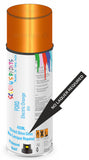 Ford electric orange Direct Gloss No Lacquer Required Spray Paint