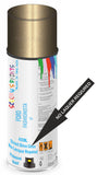 Ford fashionista Direct Gloss No Lacquer Required Spray Paint