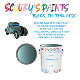 Ford Escort FIRNWOOD Tin Can Automotive Paint - Suitable for Spraying or Brushing - Premium Finish for Your Vehicle