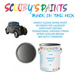 Ford Cabrio NIMBUS GREY Tin Can Automotive Paint - Suitable for Spraying or Brushing - Premium Finish for Your Vehicle