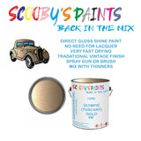 Ford Cabrio OLYMPIC (TUSCANY) GOLD Tin Can Automotive Paint - Suitable for Spraying or Brushing - Premium Finish for Your Vehicle