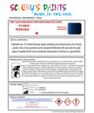 Ford Fiesta Code: 4 Ford Automotive Paint Tinned Automotive Paint Sprayable Auto Paint Brushable Car Paint Versatile Ford Paint