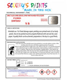 Ford Granada Code: 15 Ford Automotive Paint Tinned Automotive Paint Sprayable Auto Paint Brushable Car Paint Versatile Ford Paint