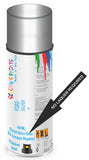 Ford silver Direct Gloss No Lacquer Required Spray Paint
