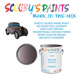 Ford Cabrio SPRING VIOLET Tin Can Automotive Paint - Suitable for Spraying or Brushing - Premium Finish for Your Vehicle