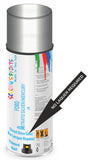 Ford street silver Direct Gloss No Lacquer Required Spray Paint