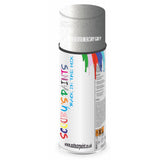 Mixed Paint For Ford Orion Strato Silver/Mercury Grey Aerosol Spray J9