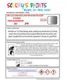 Ford Granada Code: J9 Ford Automotive Paint Tinned Automotive Paint Sprayable Auto Paint Brushable Car Paint Versatile Ford Paint