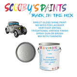 Ford Cabrio STRATO SILVER/MERCURY GREY Tin Can Automotive Paint - Suitable for Spraying or Brushing - Premium Finish for Your Vehicle
