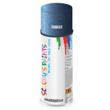 Mixed Paint For Ford Fiesta Tasman Blue Aerosol Spray 4U