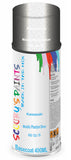 Aerosol for Kawasaki Ninja ZX-12R