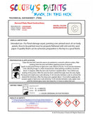 Instructions For Use Lamborghini Other Models Bianco Impact Car Paint