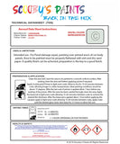 Instructions For Use Lamborghini Other Models Bianco Polo Park (2C) Car Paint