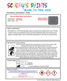 Instructions For Use Lamborghini Urus Grigio Acheso Car Paint