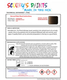 Instructions For Use Lamborghini Urus Marrone Alcestis Car Paint