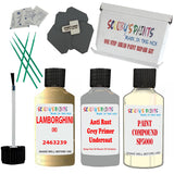 Lamborghini Oro Car Detailing Paint And Polish Finish Kit