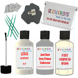 Lexus Golden White Car Detailing Paint And Polish Finish Kit