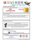 Instructions For Use Lexus LS Series Touch Up Paint