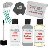 Lexus Whitest White Car Detailing Paint And Polish Finish Kit