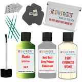 Mazda Spirited Green Car Detailing Paint and polish finishing kit