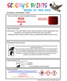 Nissan Murano Tricoat Red Nby Health and safety instructions for use