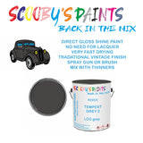 ROVER 45/400 SERIES LOG Vintage Classic Car Paint for restoration Silver-Grey Original Cellulose Paint used, Perfect Mix for TEMPEST GREY