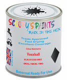 Paint Mixed Vauxhall Cavalier Black Star Mist 256/905/90L Basecoat Car Spray Paint