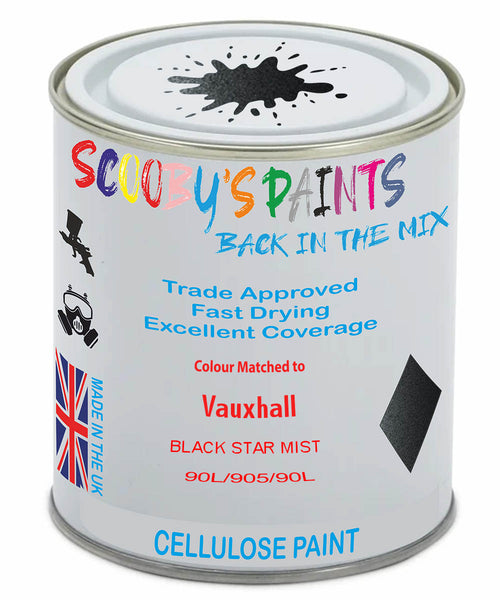 Paint Mixed Vauxhall Kadett Cabrio Black Star Mist 256/905/90L Cellulose Car Spray Paint