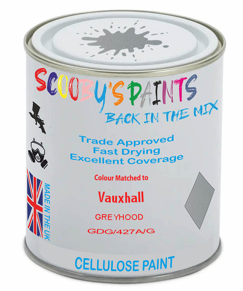 Paint Mixed Vauxhall Adam Greyhood 199/427A/Gdg Cellulose Car Spray Paint