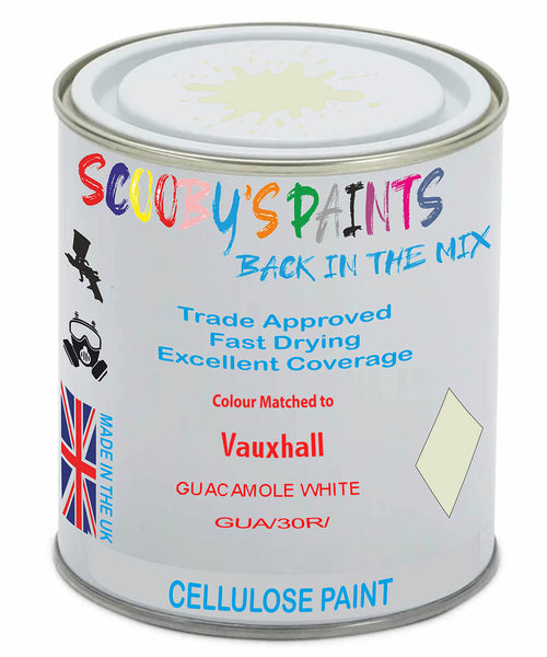 Paint Mixed Vauxhall Adam Guacamole White Gua/30R Cellulose Car Spray Paint