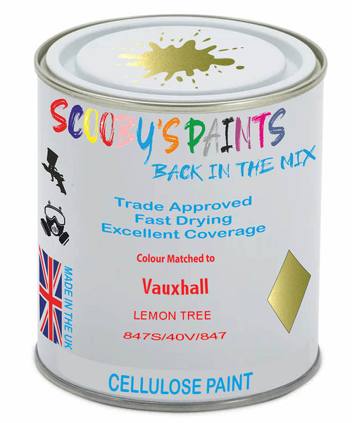 Paint Mixed Vauxhall Adam Lemon Tree 40T/40V/847S Cellulose Car Spray Paint