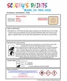 Cellulose Ready For Use Paint for VAUXHALL CAVALIER LIGHT IVORY Paint code: 0U1/611/62L Easy Use Original Paint Cellulose Spray Gun Paint