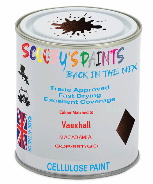 Paint Mixed Vauxhall Adam Macadamia 41C/85T/Gop Cellulose Car Spray Paint