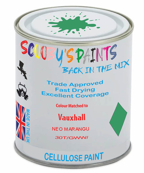 Paint Mixed Vauxhall Adam Neo Marangu 30T/Gww Cellulose Car Spray Paint